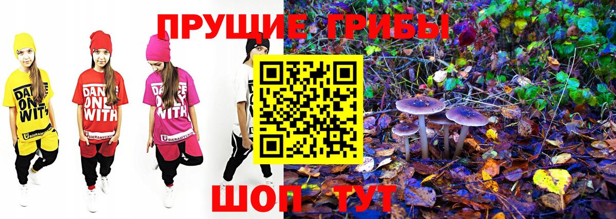 Псилоцибиновые грибы Cubensis  Вход с VPN  Зеленодольск  Галлюциногенные грибы Psilocybine cubensis 